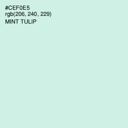 #CEF0E5 - Mint Tulip Color Image